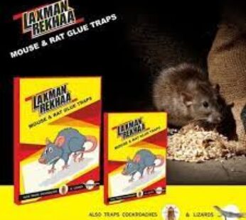LAXMAN REKHAA MOUSE RAT GLUE TRAPS 16CM 23CM