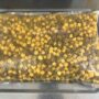 ROSTAD CHNA HING Masala 500gm