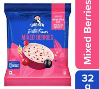 QUAKER IUSTANT OATS MIXED BERRIES 32gm