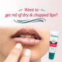 HIMALAYA LIP BALM 5 GM