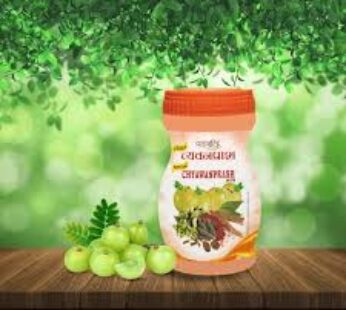 PATANJALI CHYAWANPRASH 500GM