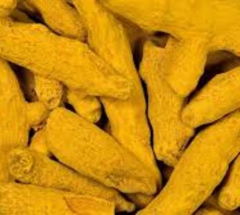 SABUT Haldi