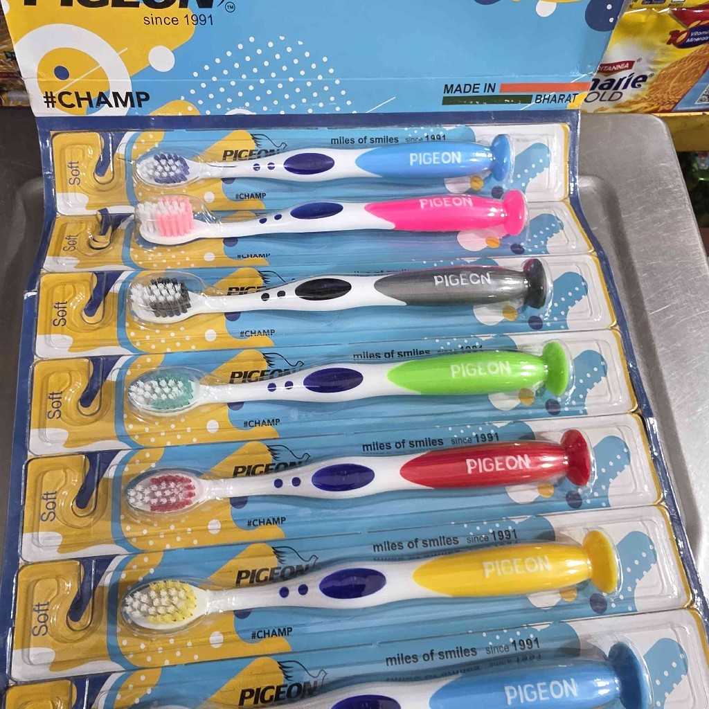 PIGEON CHAMP BURSH 12PS BOX